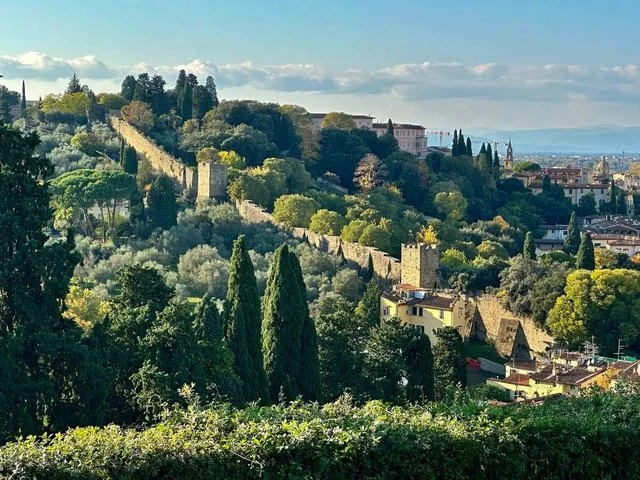 Europe through the Eyes of a Tree Nerd Part 3